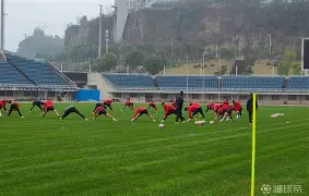 易游平台 -包含荷甲冲刺阶段再迎强敌；马德里竞技远射贴柱；主帅态度——更衣室稳定；医务组通报恢复的词条